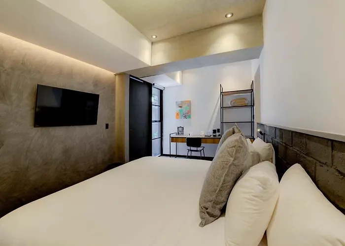 Capitalia Terrace Rooftop Jacuzzi * メキシコシティ